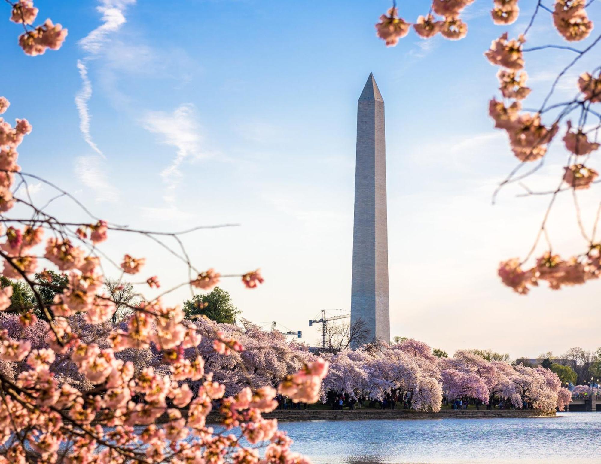 Staybridge Suites Washington D.C. - Greenbelt By Ihg Lanham Exteriér fotografie